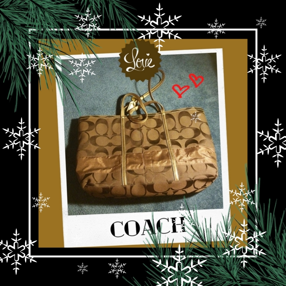 Coach Brown Signature Tote Bag